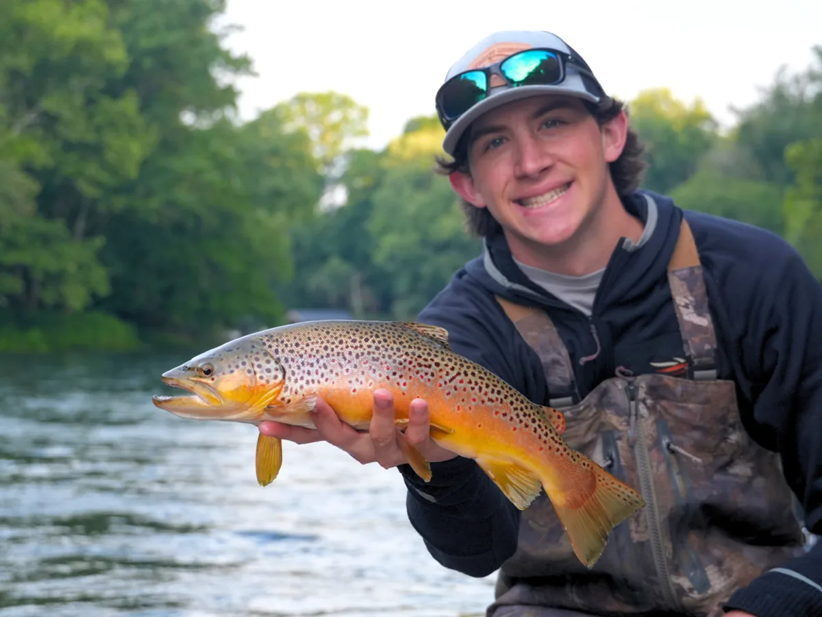 sore-lip-em-all-brown-trout-catch