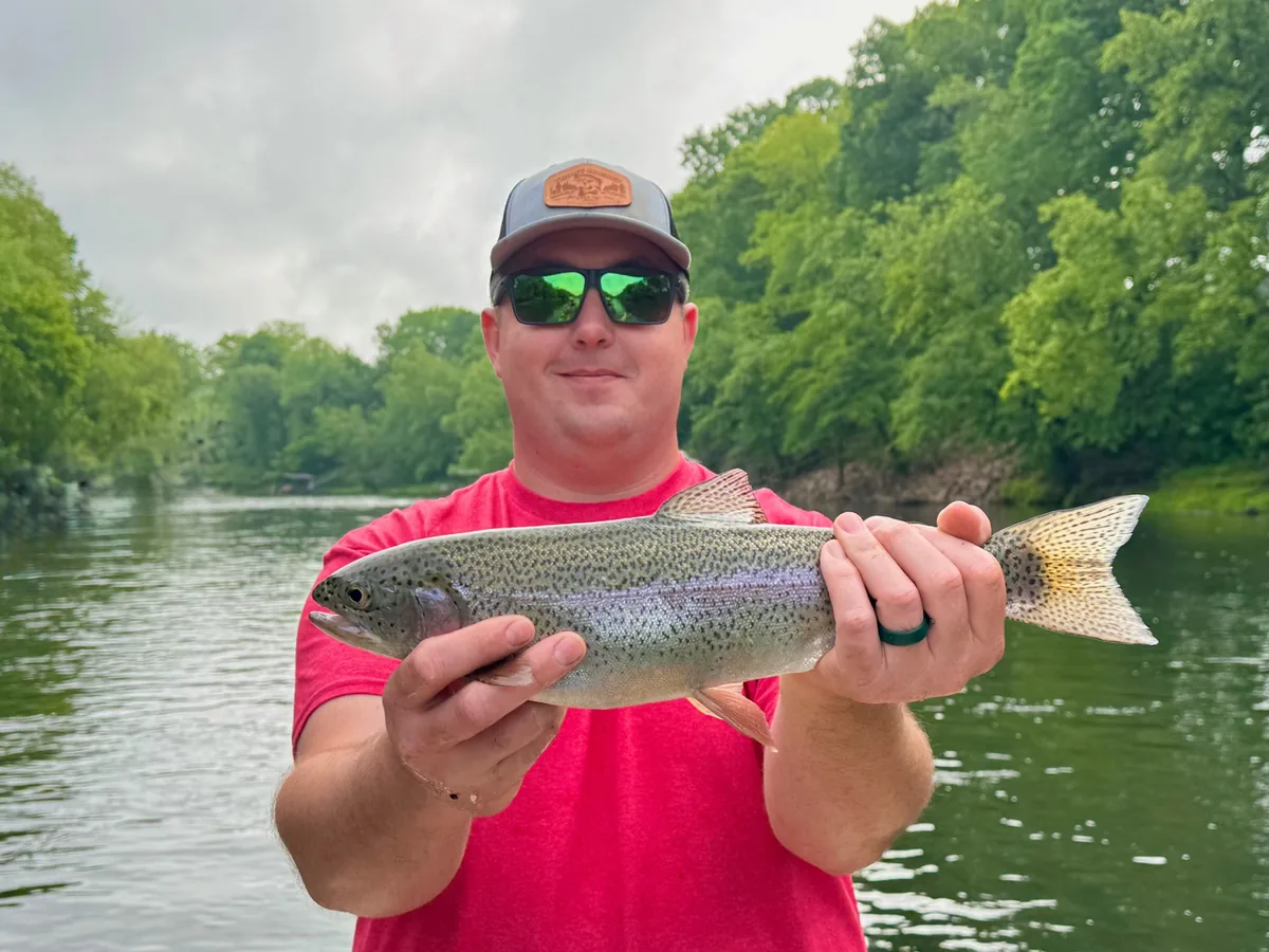 sore-lip-em-all-rainbow-trout
